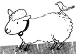 羊①